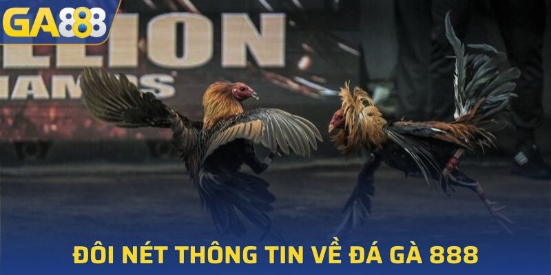 Giới thiệu cơ bản về hình thức đá gà 888