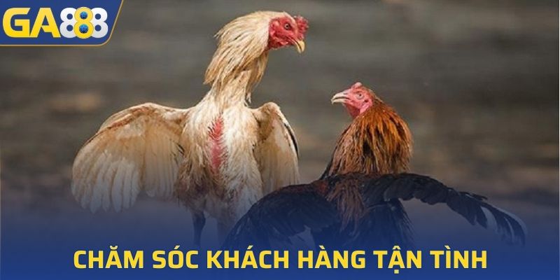 Hệ thống giải đáp thắc mắc nhanh chóng