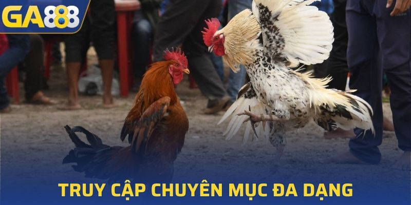 Tham gia với đa dạng mức cược