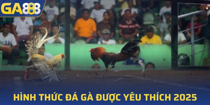 Các hình thức đá gà được yêu thích 2025