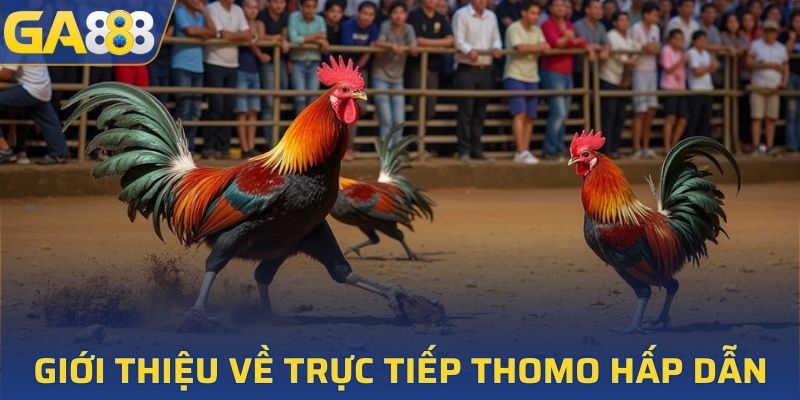 Giới thiệu về trực tiếp Thomo hấp dẫn
