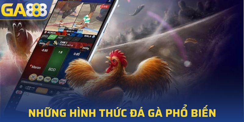 Những hình thức đá gà phổ biến, được yêu thích