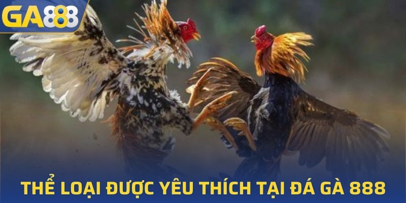 Thể loại được yêu thích tại đá gà 888