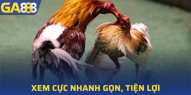 Tham gia xem vô cùng tiện lợi