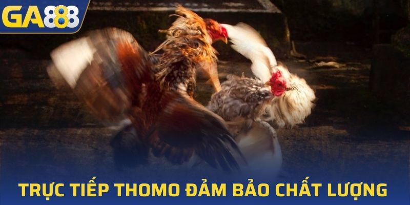 Trực tiếp Thomo đảm bảo chất lượng